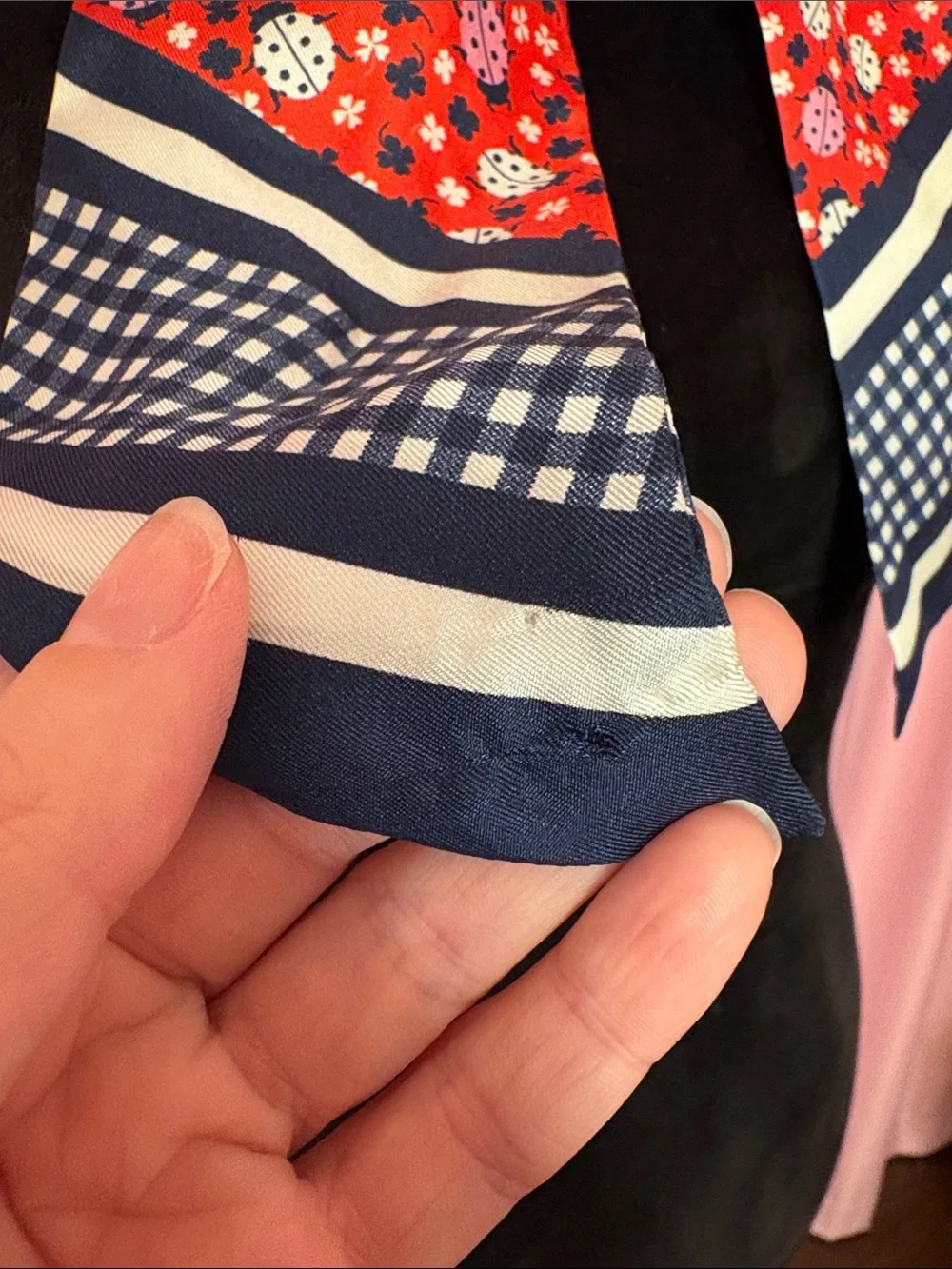 Satin Red and Blue Ladybug and Gingham Scarf
